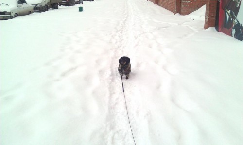IMAG0549.jpg