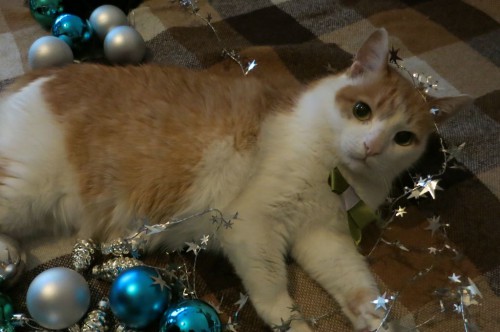 31.12.15 012-2 [Разрешение рабочего стола].jpg