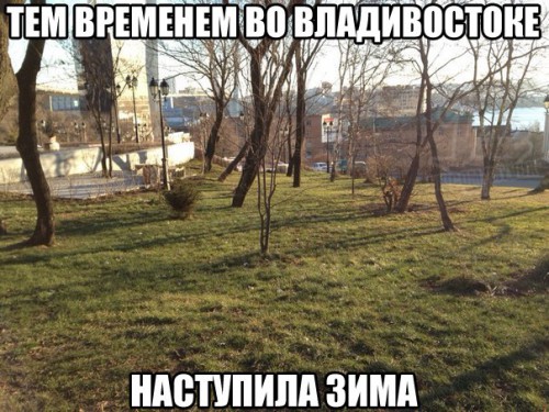 winter.jpg
