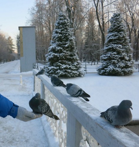 06.01.16 048-1 [Разрешение рабочего стола].jpg