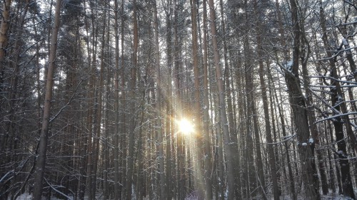 IMG_20160107_124323.jpg