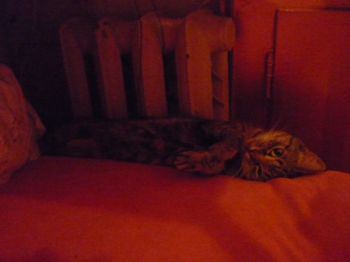 P1170898+.jpg