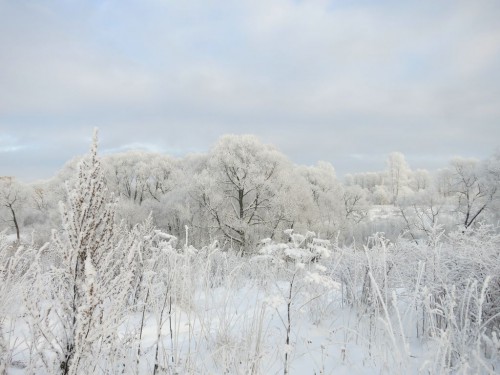 17.01.16 447 [Разрешение рабочего стола].jpg