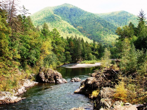 Primorye.jpg