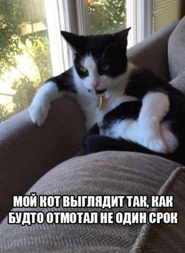 KS8Jy8c2XR0.jpg