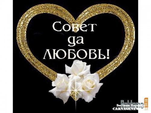 carnagenews_ru_photos0-800x600.jpg