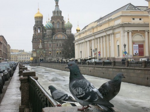 12.02.16 020 [Разрешение рабочего стола].jpg