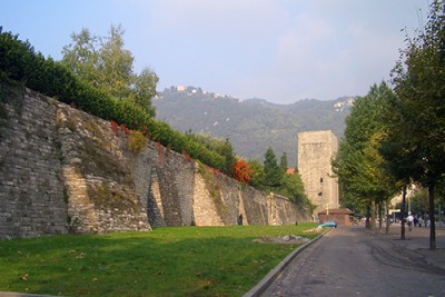 CIMG1331.jpg