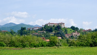 _MG_8768.jpg