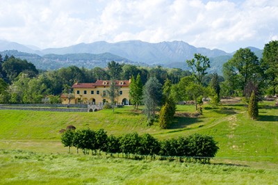 _MG_8754.jpg