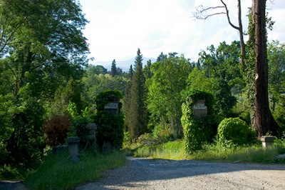 _MG_8762.jpg