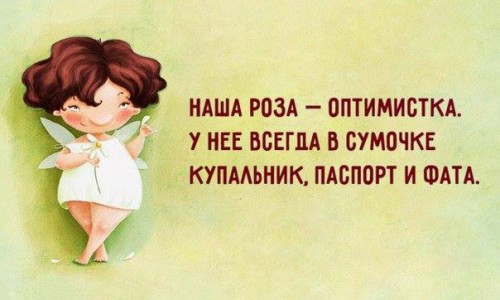 роза оптимистка.jpg