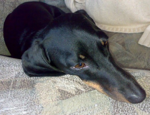 050520129662.jpg