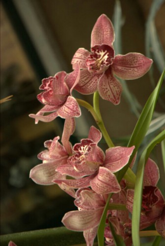 DSCF4628.jpg