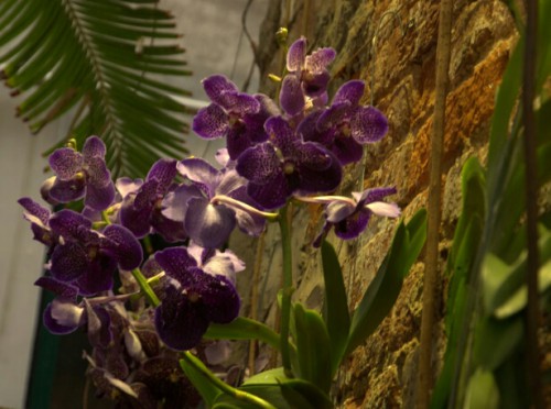 DSCF4618.jpg