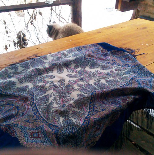 IMAG0662.jpg