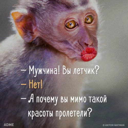 лётчик.jpg