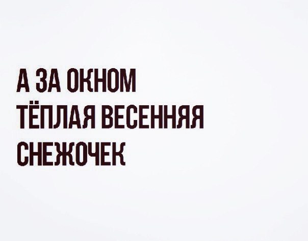 погода.jpg