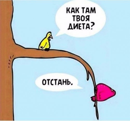 диета.jpg