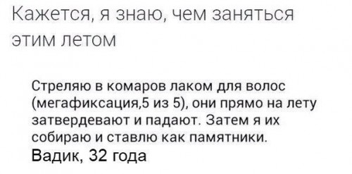 бюстик комара.jpg