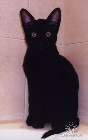image-47.jpeg
