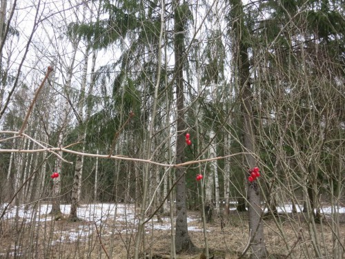 26.03.16 276 [Разрешение рабочего стола].jpg
