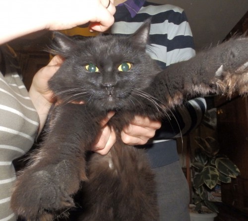 Макс