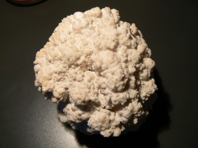 коралл-1.JPG