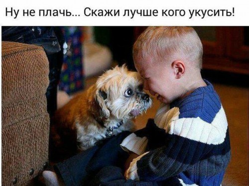 не плачь.jpg