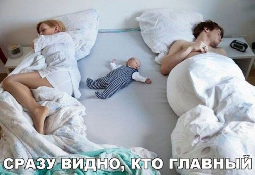 главный.jpg