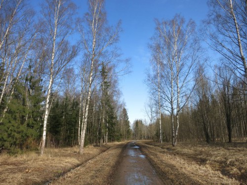03.04.16 007 [Разрешение рабочего стола].jpg