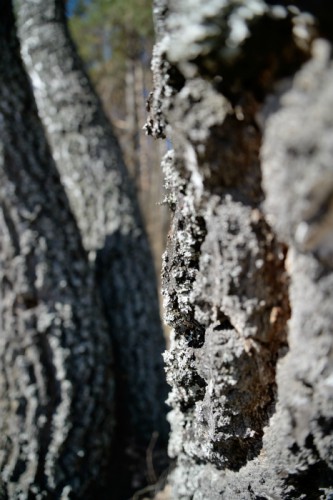 DSC_1417.jpg