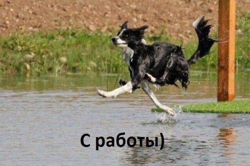 5c80f29304230a0f541abd2d463fc0c553dcee242680715.jpg