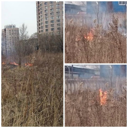 огонь мал.jpg