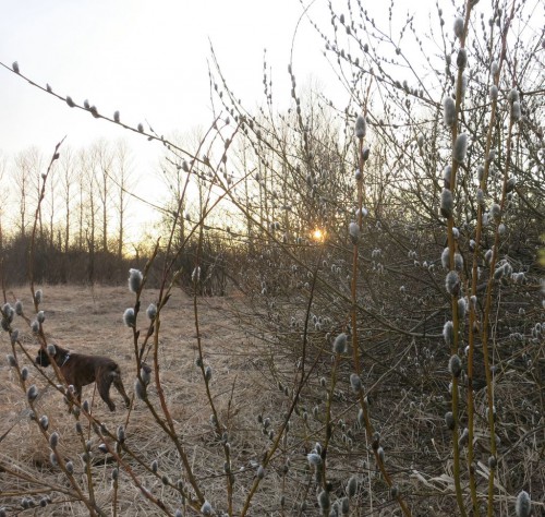 08.04.16 039-1 [Разрешение рабочего стола].jpg