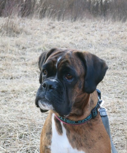 08.04.16 057-3 [Разрешение рабочего стола].jpg