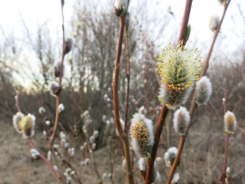 08.04.16 013 [Разрешение рабочего стола].jpg