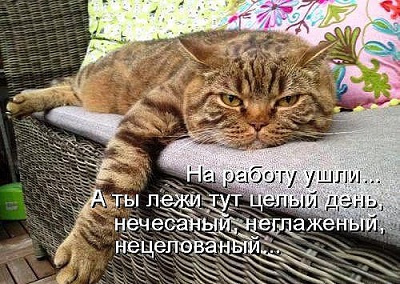 1..jpg