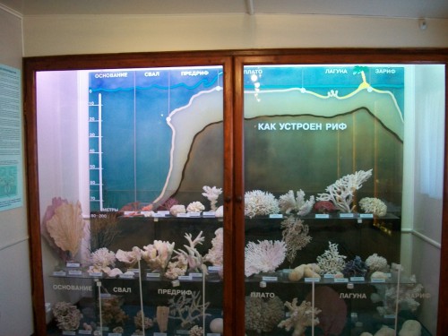 100_9467.JPG