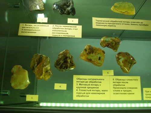 100_9532.JPG