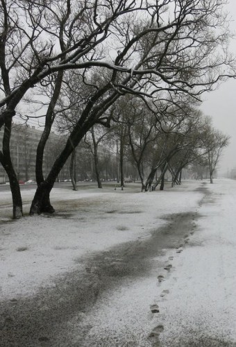 14.04.16 007-1 [Разрешение рабочего стола].jpg