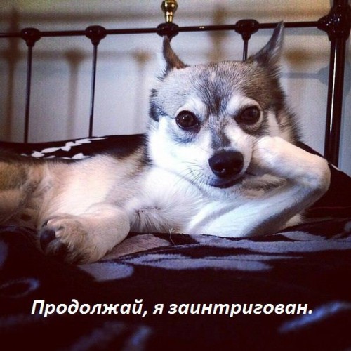 5a1cb8c193dba74c9118f92de4c6fbad53dcee243400030.jpg