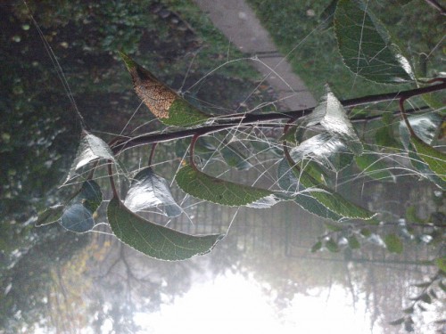 20141004_103050.jpg