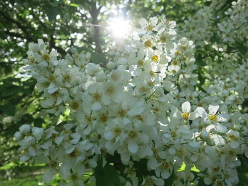 11.05.2016 188 [Разрешение рабочего стола].jpg