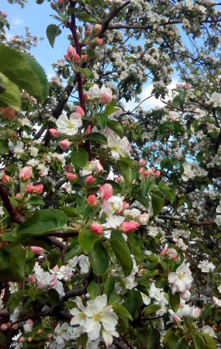 IMG_20160508_174414.jpg