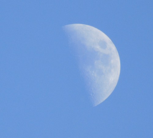 DSC03574.JPG