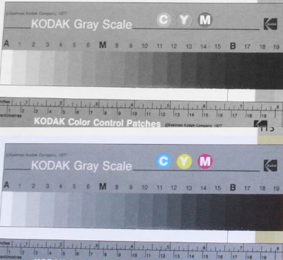 gray.jpg