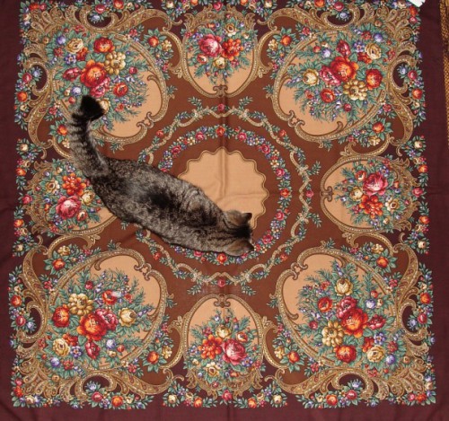 Русские сезоны 948-17
