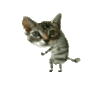 0_1f04b_db421a34_XL.gif