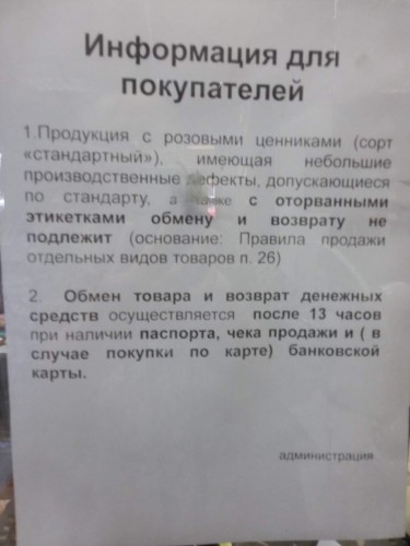 image-15.jpeg
